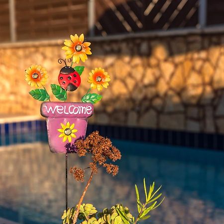 Villa Apollon II สฟากากิ ภายนอก รูปภาพ